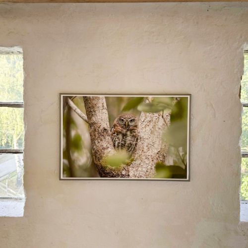 Blick in die Natur (Volker)